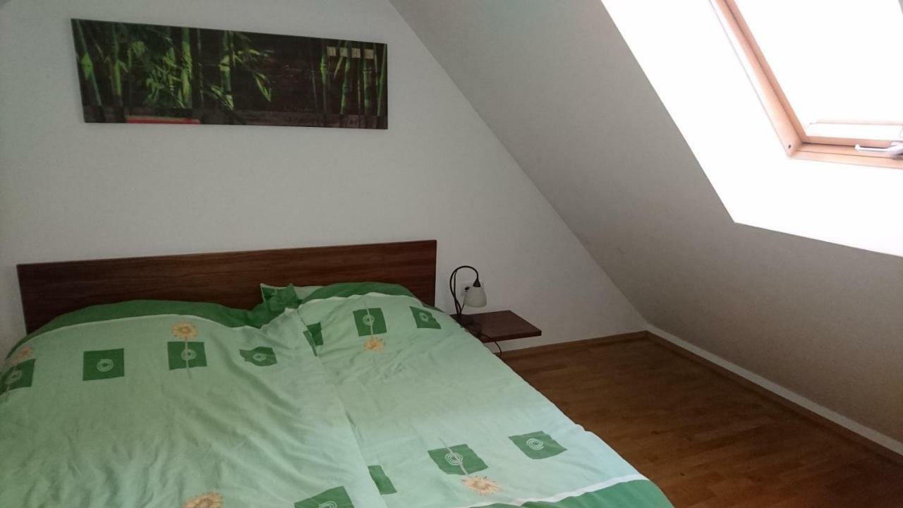 Вилла Apartma Geoteh Terme Catez 6032 Кршко Экстерьер фото